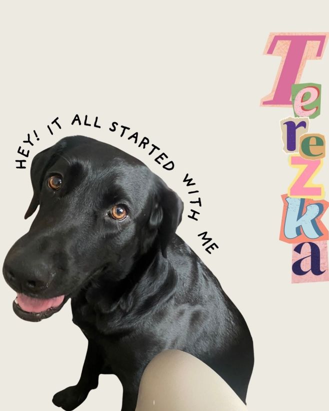 Ne, to není modelka — to je naše Terezka🐶 Náš „Chief Cuteness Officer“ a důvod, proč je první LOCO kolekce věnovaná psím...